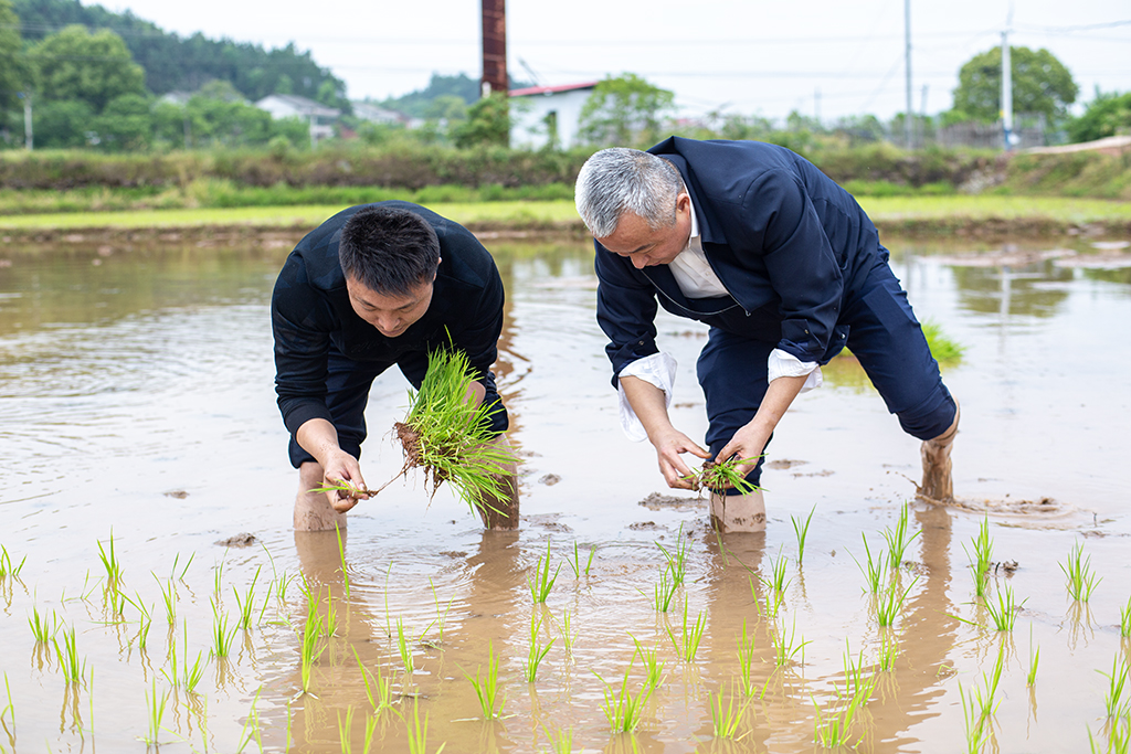 主題黨日創(chuàng)新意 田間地頭鬧春耕